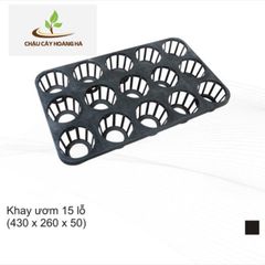 Khay ươm 15 lỗ