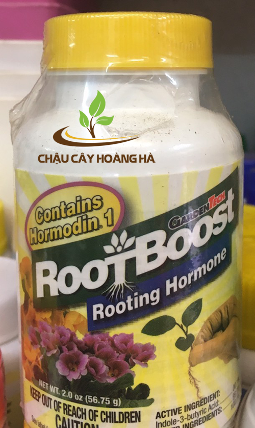 Kích thích ra rễ nhanh RootBoost Rooting Hormone