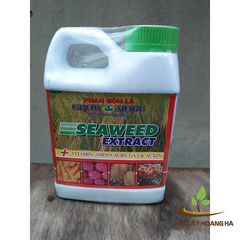 Phân bón Growmore Seaweed Extract