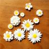 FLR0097 - Hoa daisy trộn Trang trí DIY (Gói 11 hoa)