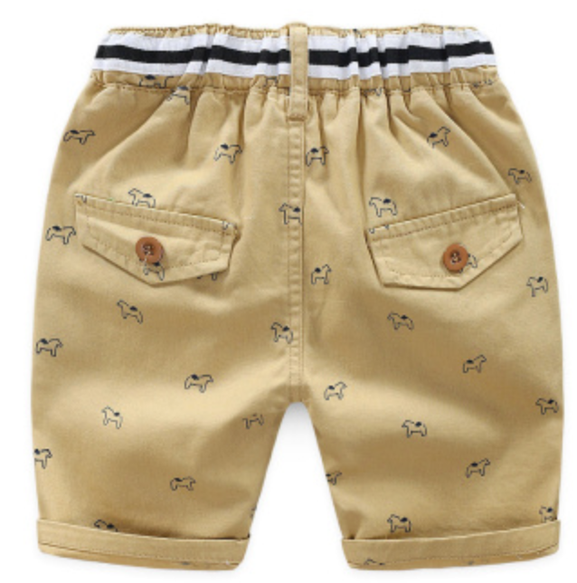 QS202225- Quần shorts