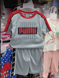  PUMA-KG1 