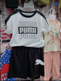  PUMA-KG1 