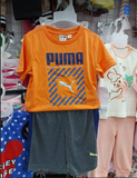  PUMA-KG1 