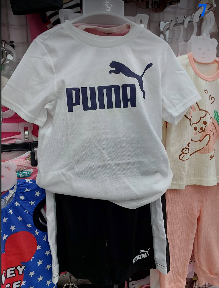  PUMA-KG1 