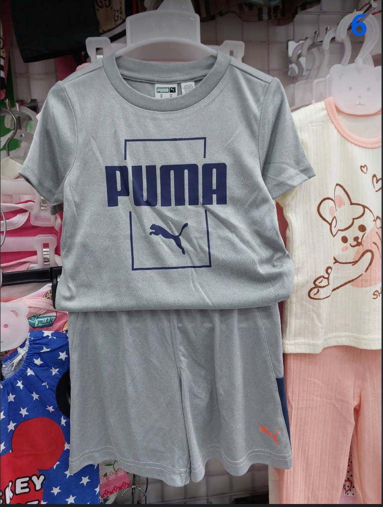  PUMA-KG1 