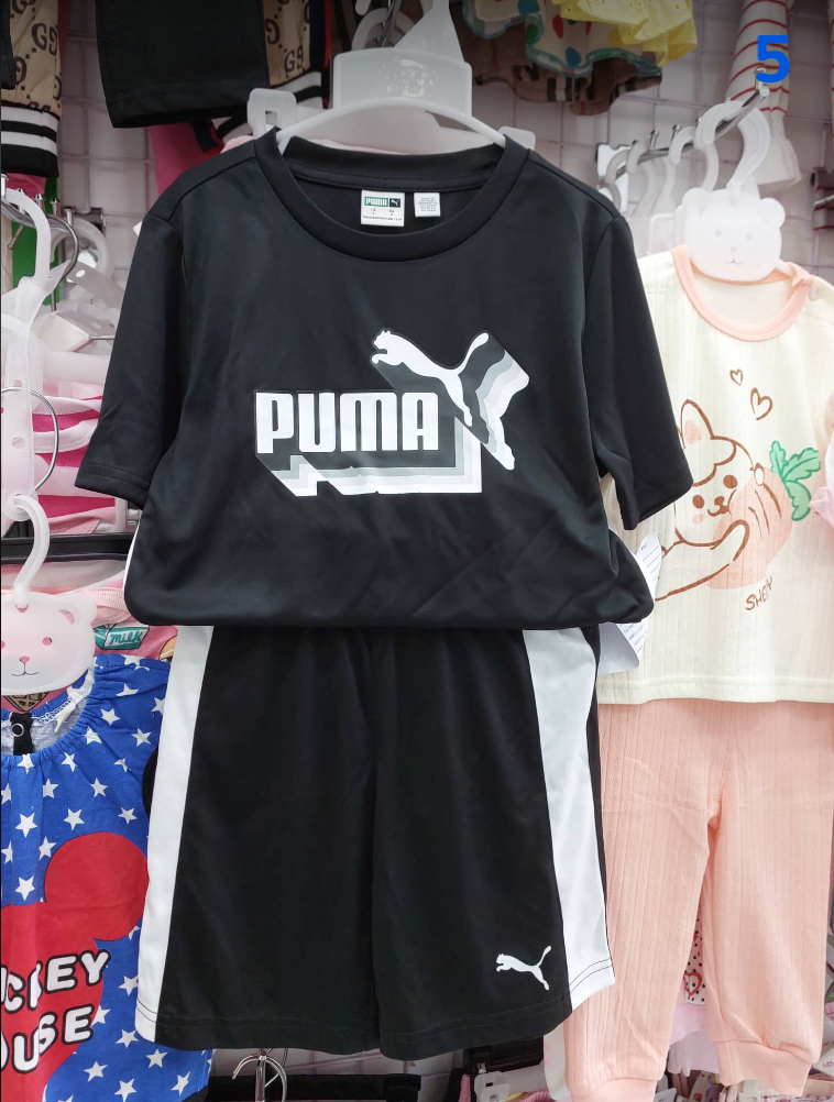  PUMA-KG1 