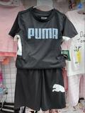  PUMA-KG1 