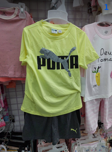  PUMA-KG1 