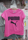  Puma-KG2 