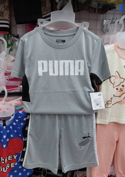  Puma-KG2 