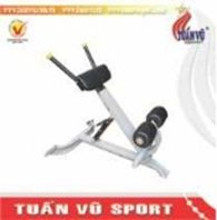 Ghế tập lưng TV6007, ghe tap lung TV6007
