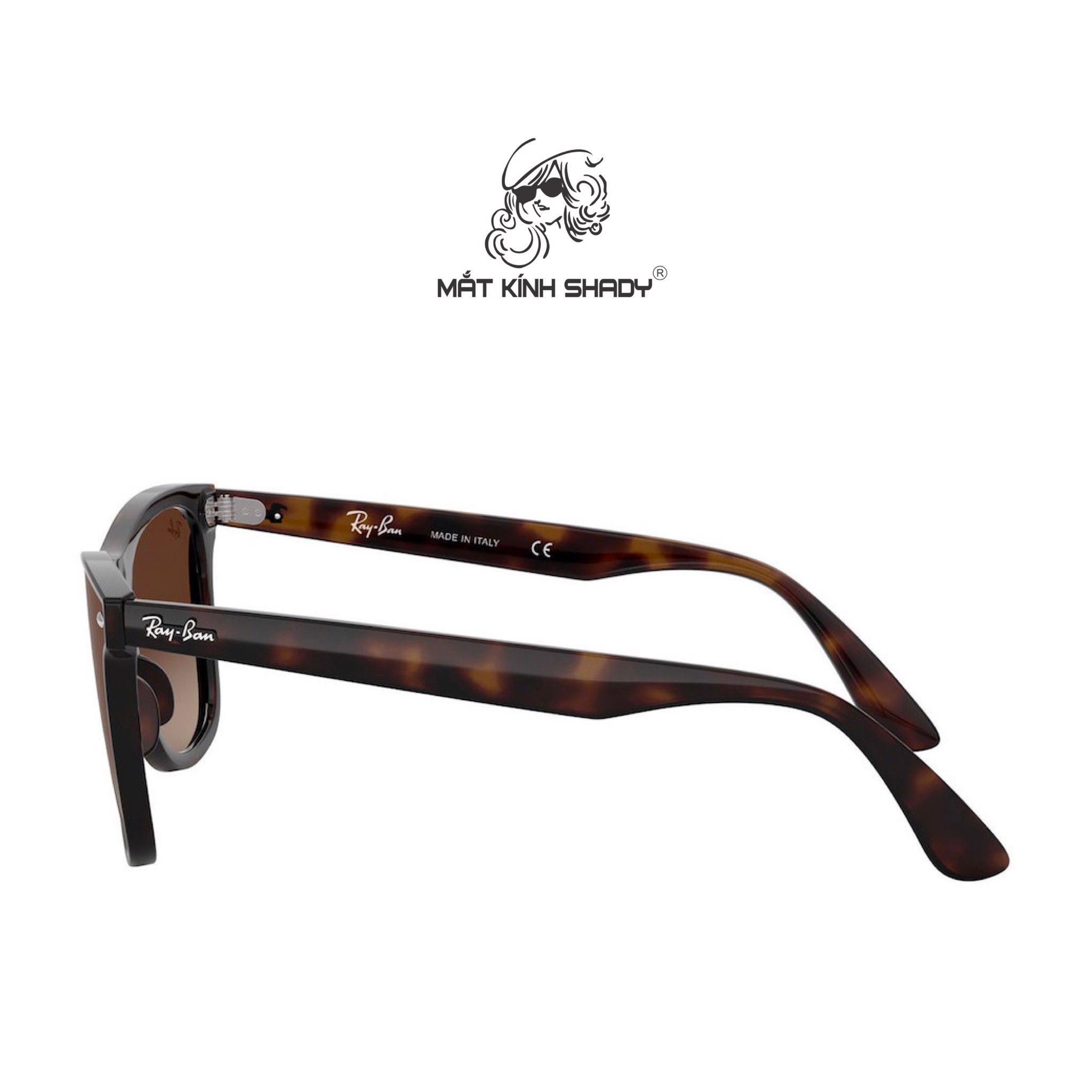Rayban Eyewear - Sunglasses - RB4440N