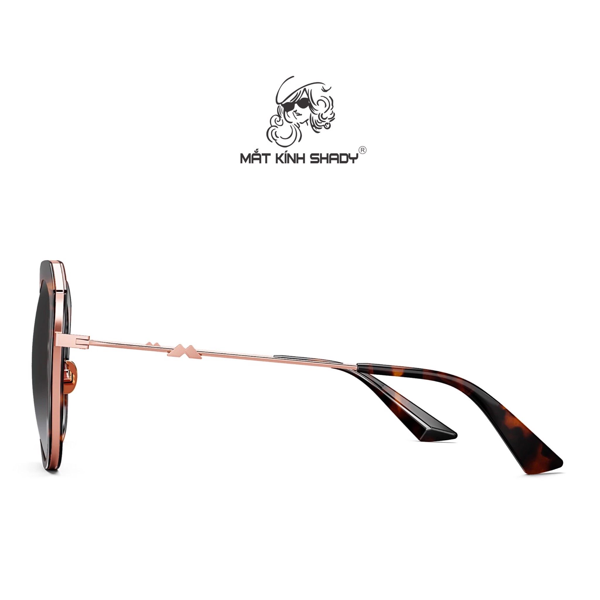 Kính Mát Chính Hãng Molsion, Dáng Mắt Mèo Thời Trang Nữ - MS6050