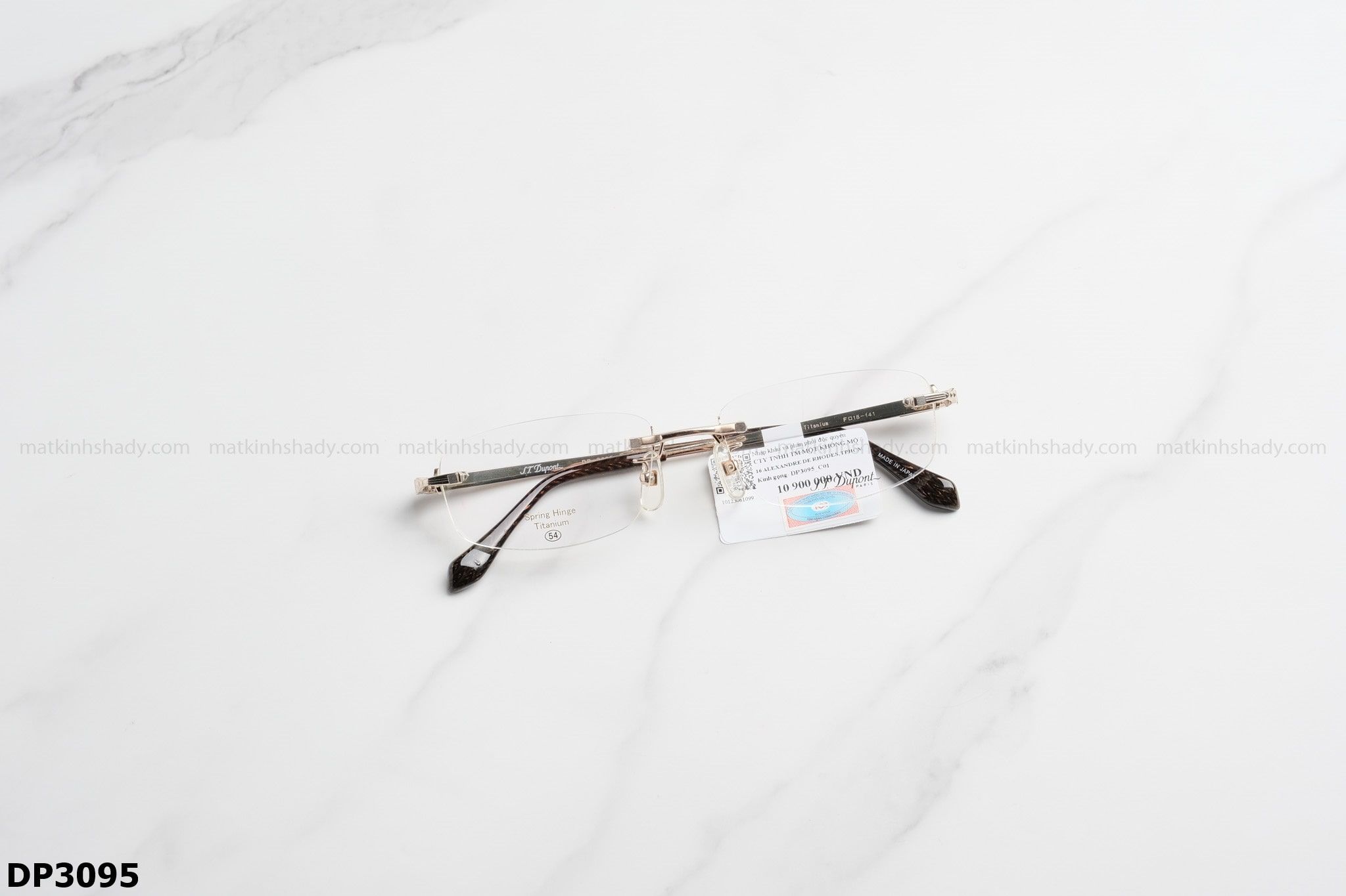  S.T.Dupont Eyewear - Glasses - DP3095 