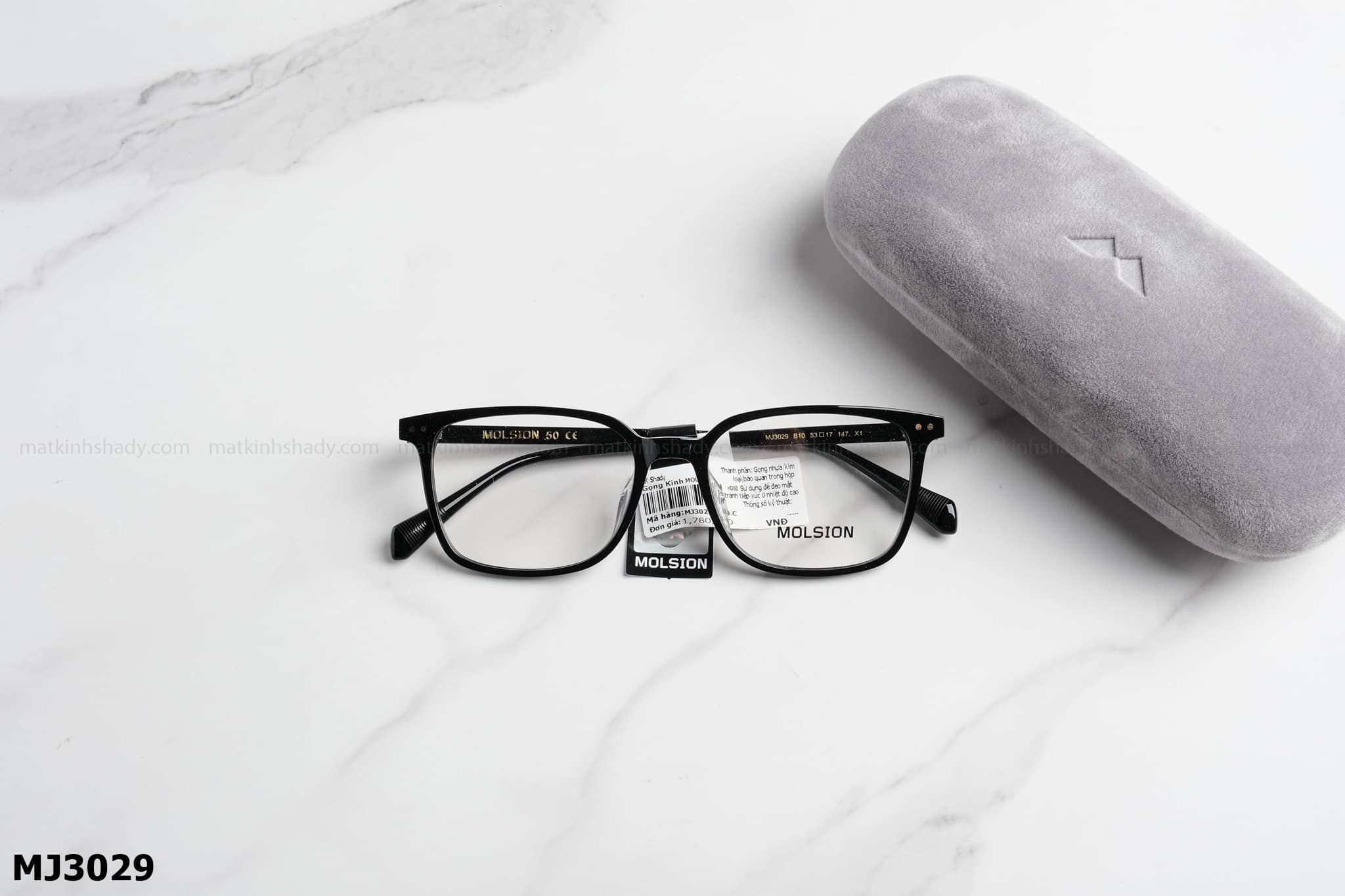  Molsion Eyewear - Glasses - MJ3029 