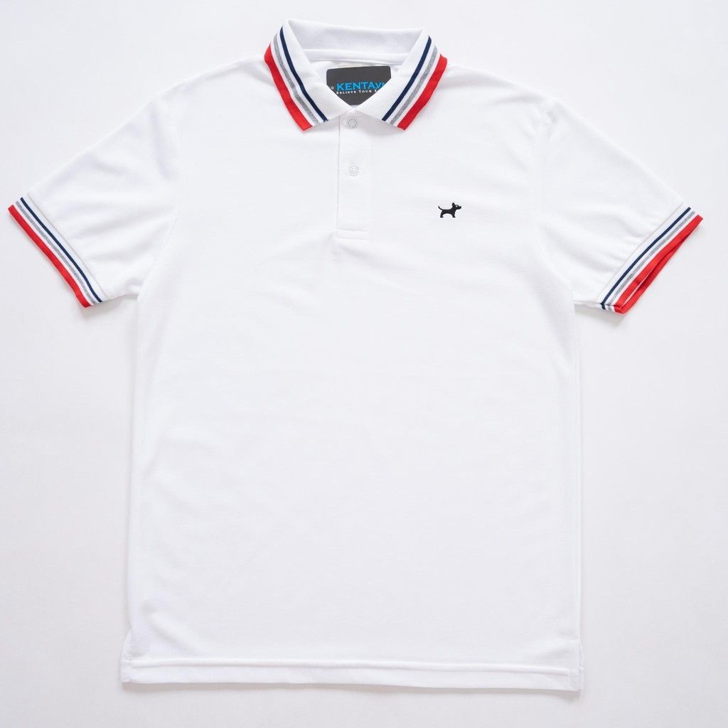 Áo Thun Polo Viền Xanh ATP0010