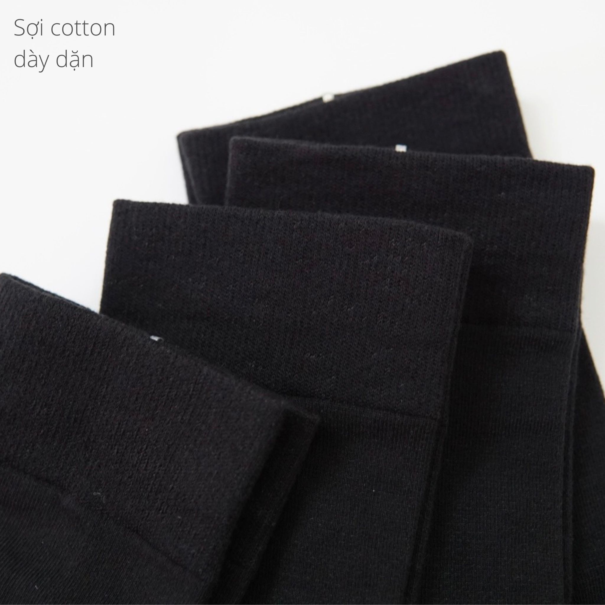  Vớ Cổ Dài Cotton Thoáng Khí PVO0002 