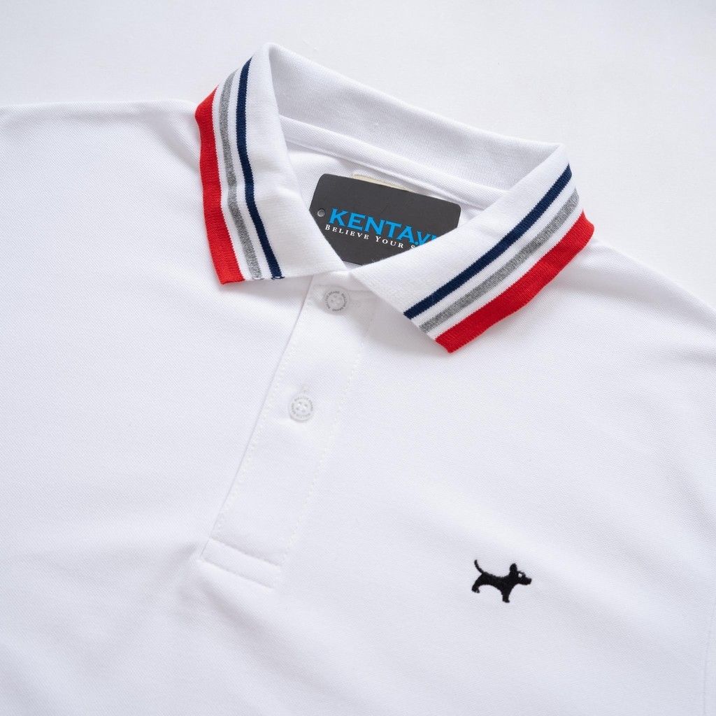 Áo Thun Polo Viền Xanh ATP0010
