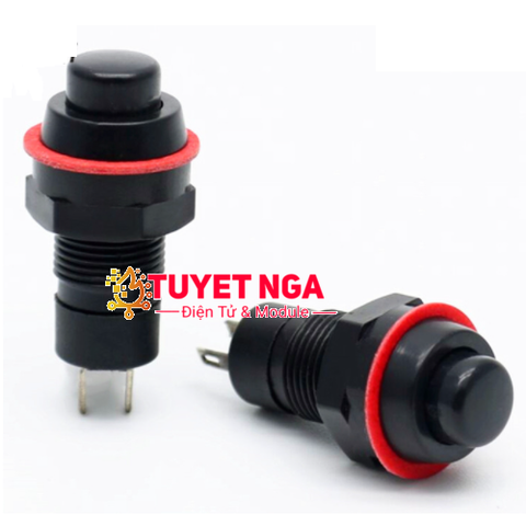 DS-211 Nút Nhấn Giữ Đen 10mm