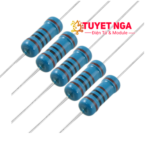 Điện Trở 0.47 Ohm 1W 1%