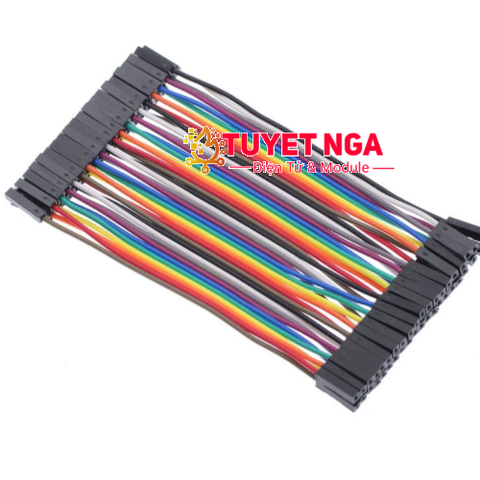 Dây Bẹ Cắm Test Board Cái Cái 10cm