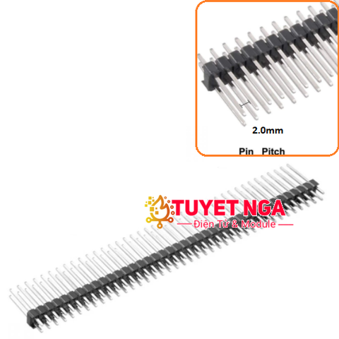 Jump Đực Đôi 40P Hàng Rào 2x40-2mm