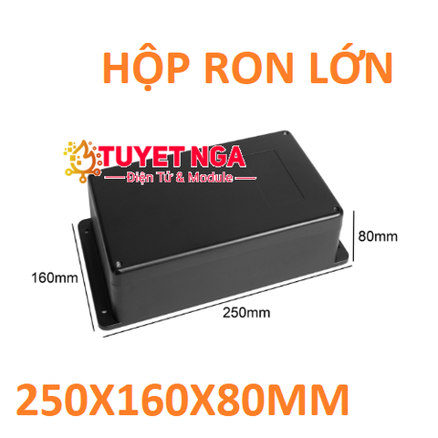 Hộp Ron Lớn 250x160x80mm