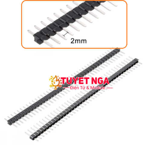 Jump Đực Đơn 40P Hàng Rào 1x40-2mm Cao 9mm