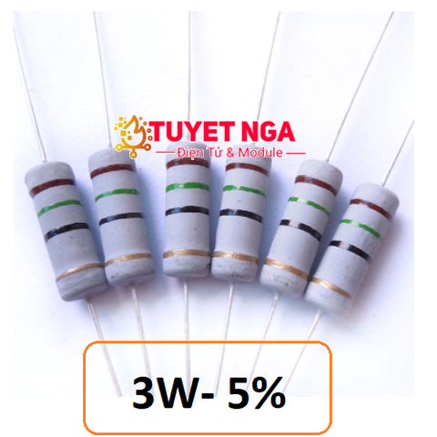 Điện Trở 22 Ohm 3W 5%