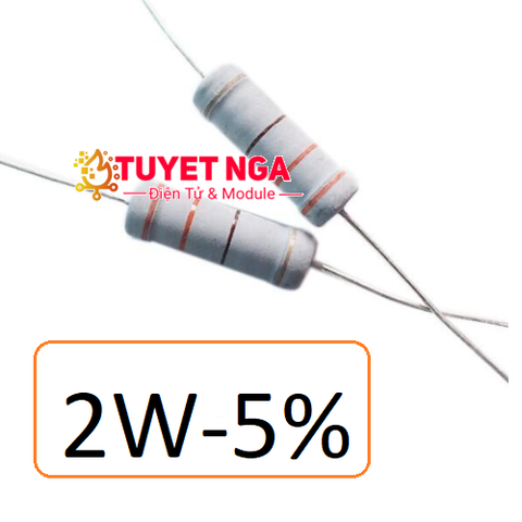 Điện Trở 8.2K 2W 5%