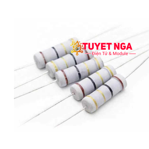 Điện Trở 0.47 Ohm 1W 5%