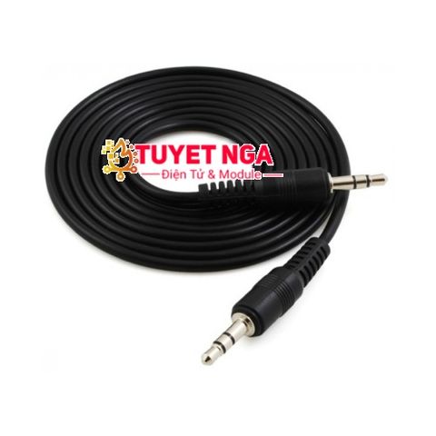 Dây Cáp Audio 2 Đầu 3.5mm Dài 3m (2 đầu đực)