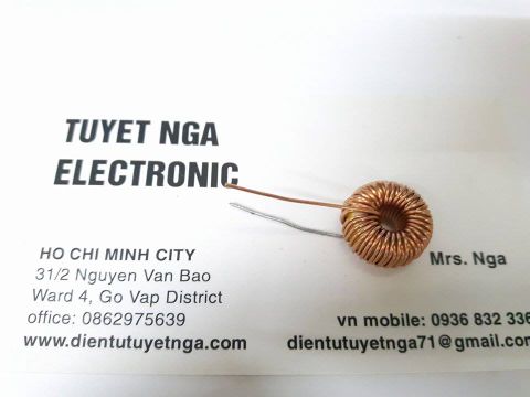 Cuộn Dây 100UH 3A