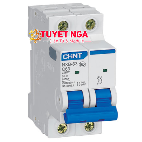 Chint NXB-63 MCB 2P 63A C63 CB Tép