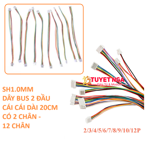 SH1.0mm Dây Bus 4 Pin Dài 20cm (2 đầu)