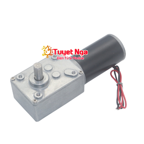 5840-31ZY Động Cơ Giảm Tốc 80rpm Bánh Răng Nam Châm Vĩnh Cửu