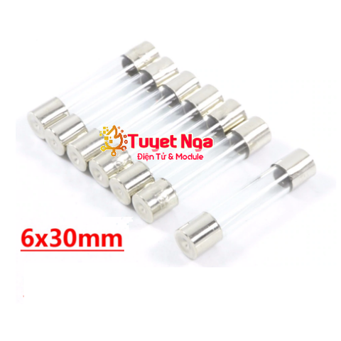 Cầu Chì Ống 2A 6x30mm