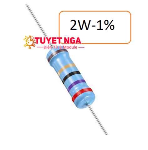 Điện Trở 1 Ohm 2W 1%