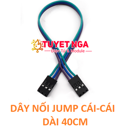 Dây Bus 4 Pin Nối Jump Cái Cái