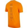 Áo Tennis RF Nike Fall RF T Shirt (923997-833)