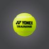Banh Thùng 60 trái Banh Tập - Yonex Training Tennis Balls (TB-TNGEX)