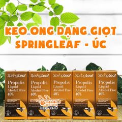 Keo ong Spring Leaf Úc - 25ml