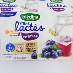 Sữa chua Bledina vị việt quất 55gx6 (6 tháng+)