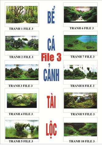 Tranh 3d file 3