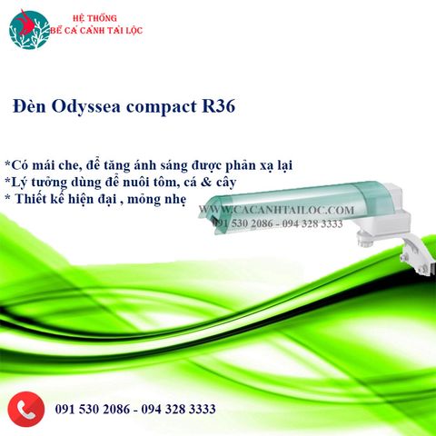 ĐÈN ODYSSEA COMPACT R36