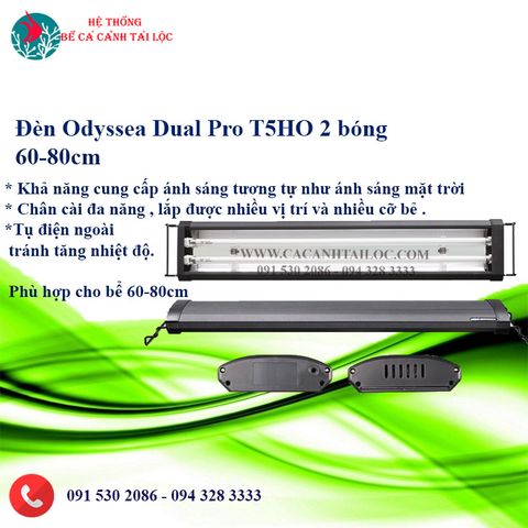 Đèn Odyssea Dual Pro T5HO 60 -80cm
