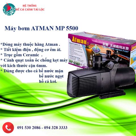 Máy bơm ATMAN MP 5500