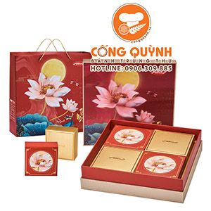 Bánh Trung Thu Bibica 2023 Hộp Thu Nguyệt