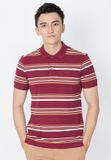  Áo thun Polo Shirt nam 100% Cotton , thun co giãn 4 chiều thoáng mát MTS005 